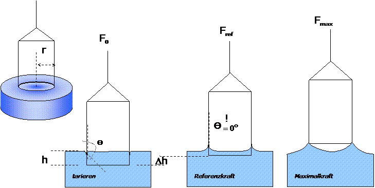 Tarieren mit jeweiligem Kontaktwinkel Θ (F°), Referenzkraft mit Auftrieb und Wilhelmykraft (Fref), Maximalkraft beim Lamellenauszug (Fmax).